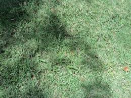 images_040